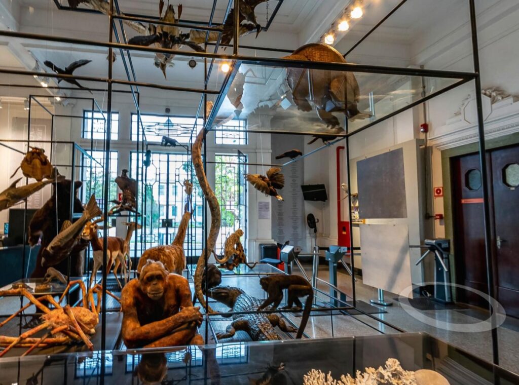 magine um espaço digital amplo e iluminado, com paredes transparentes flutuando no espaço virtual. As exposições não são fixas, mas aparecem em hologramas, que podem ser explorados de diferentes ângulos pelos visitantes. O ambiente é futurista, com elementos tecnológicos como telas interativas, que permitem aos usuários tocar, ampliar ou manipular as exposições. As obras de arte, artefatos históricos e peças científicas são representadas de forma tridimensional, dando a sensação de imersão. O público pode navegar por salas temáticas usando dispositivos de realidade aumentada ou virtual, criando uma experiência única e personalizada. O cenário é moderno e minimalista, com tons de azul, branco e prata, com uma estética clean e digital.
